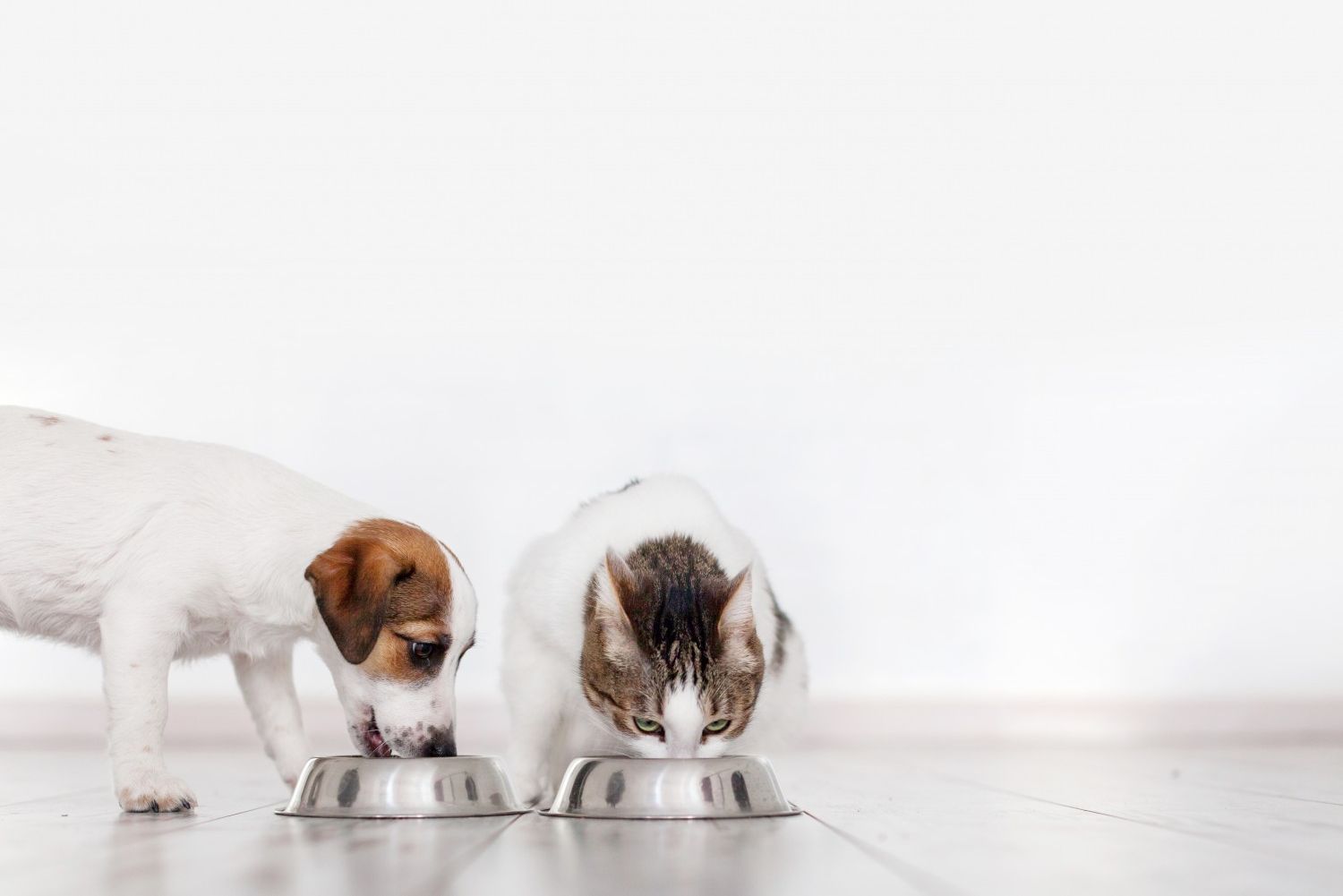 Dietary Counseling Dietary Counseling