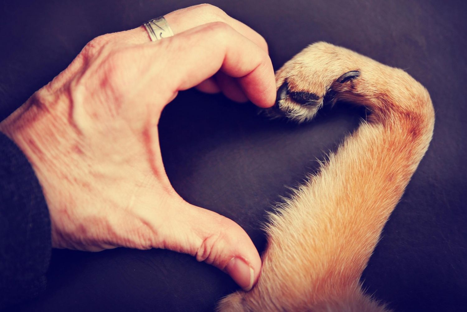 ECG services ECG services